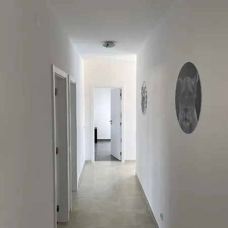 Vila Casa Felino